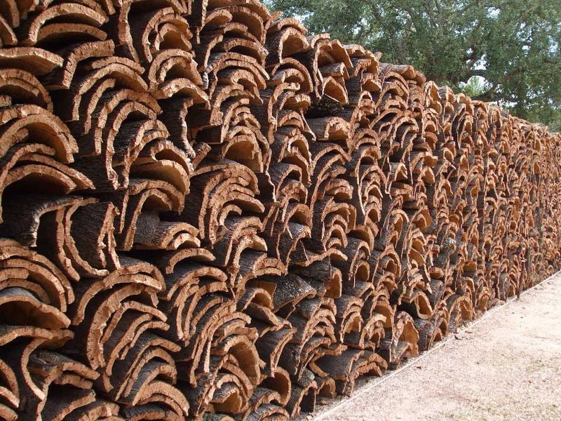 Transporte de corcho